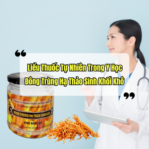 Liều Thuốc Tự Nhiên Trong Y Học Đông Trùng Hạ Thảo Sinh Khối Khô